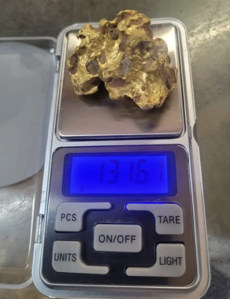 La pesée de précision : analyse d’une pépite d’or natif de 131,61 grammes