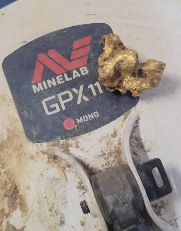 Technologies de prospection : comment le Minelab GPX révolutionne la détection à Watsa